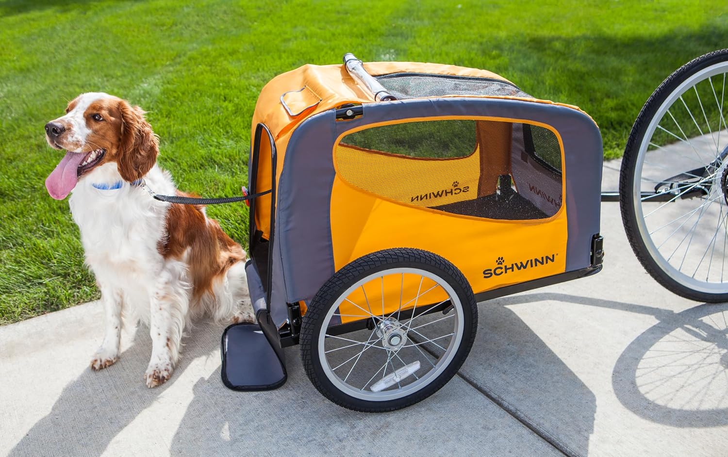 13-SC315 Rascal Bike Pet Trailer, For Small and Large Dogs, Lightweight, Tow with Bicycle, Up to 50 lbs. Small, Orange/Grey